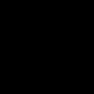 Meet your Posher, Yaritza